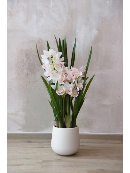 cymbidium orchidee im cremefarbenen dekotopf creme orchidea 95 cm 01