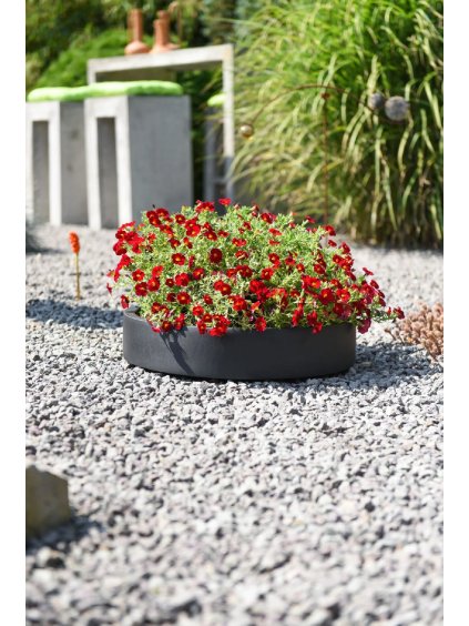 pflanzschale schale rund anthrazit fiberglas kiesbeet garten circulo 10x50 1