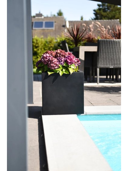 pflanzkuebel quadratisch anthrazit fiberglas hortensie pool 001