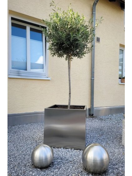 pflanzkuebel block edelstahl garten kiesbeet 60 60 7