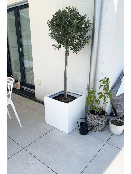 pflanzkuebel block fiberglas weiss 50 50 terrasse 01