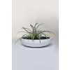 pflanzschale dekoschale fiberglas weiss plana 44x11 1
