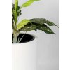 pflanzkuebel fiberglas weiss matt estra 35x35x60 02