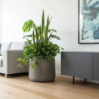 Kulaté květináče v šedé barvě jsou vkusným doplňkem interiéru. https://www.eshop-kvetinace.cz/kulate-kvetinace/?pv20=570