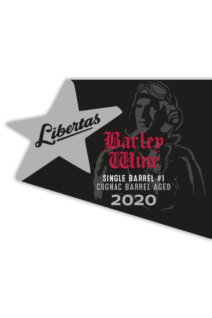 4. BALÍČEK ETIKET - PLATINUM 2020 - 0,33L