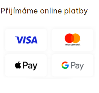 Online platby Visa Mastercard Apple Pay Google Pay