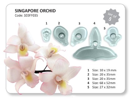 large jem singapore orchid set of 5