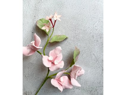 Snímek obrazovky 2026 01 11 164856