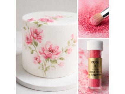 Snímek obrazovky 2026 01 28 135944