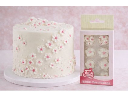 Snímek obrazovky 2026 01 24 110113