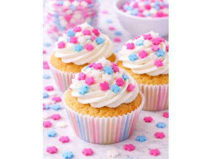 Snímek obrazovky 2026 01 21 161853