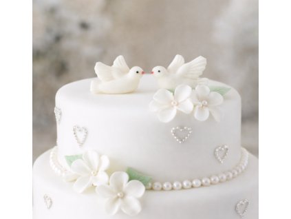 Snímek obrazovky 2026 01 21 165439