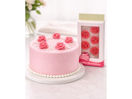 Snímek obrazovky 2026 01 28 144551