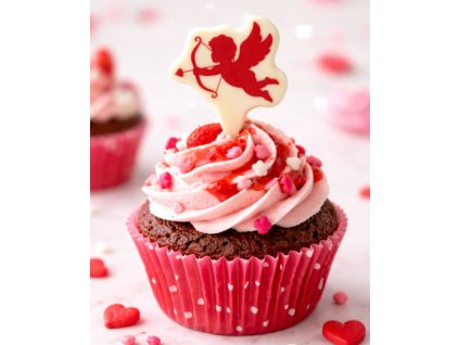 Snímek obrazovky 2026 01 24 104953