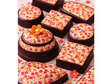 Snímek obrazovky 2026 01 12 201611