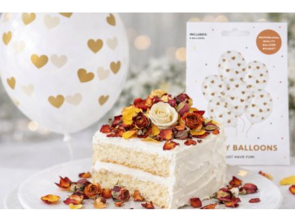 Snímek obrazovky 2026 02 06 183949