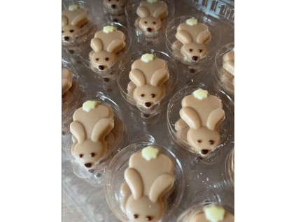 Snímek obrazovky 2025 04 02 164332