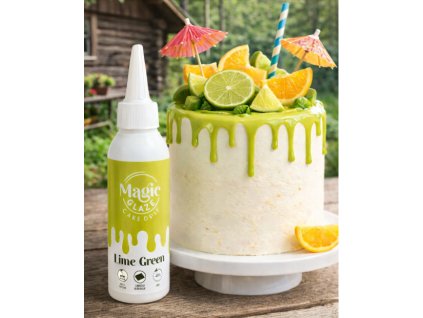 Snímek obrazovky 2026 02 13 152108