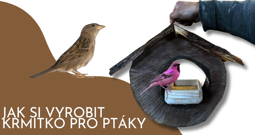 Jak si vyrobit krmítko pro ptáky