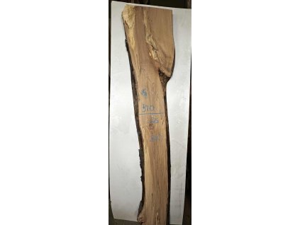 atypicka fošna buk B10