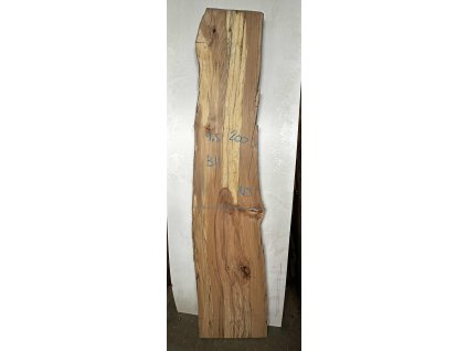 atypicka fošna buk B11