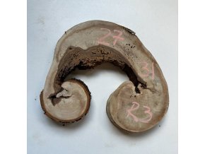 atypiký koláč na epoxid kaštan R3