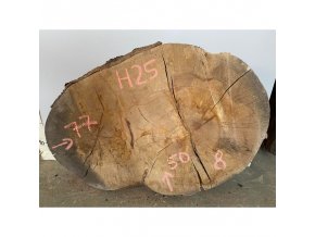 H25 - buk (50x77 cm)