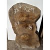 X29 - ořech (77x37 cm)