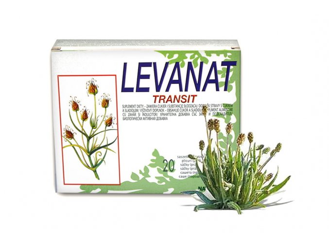 levanat transit