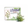 levanat transit