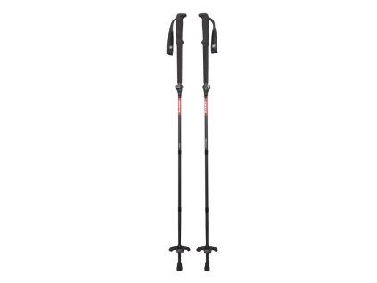 Taiss Poles c