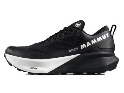 Aenergy Trail Endurance Ultra Low GTX Men