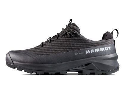 Ducan III Low GTX Men black