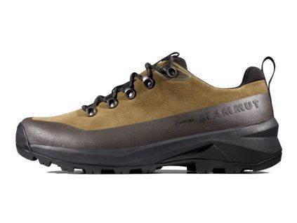 Ducan III Low LTH GTX Men moor black