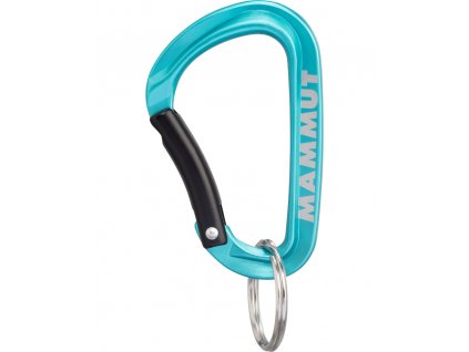 Mammut Mini Carabiner Classic Keylock S
