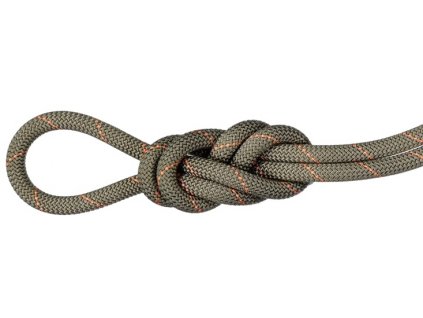 Mammut 9.9 Gym Workhorse Classic Rope 50 m