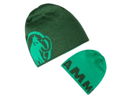 Mammut Logo Beanie mu 1191 04891 40140 ow