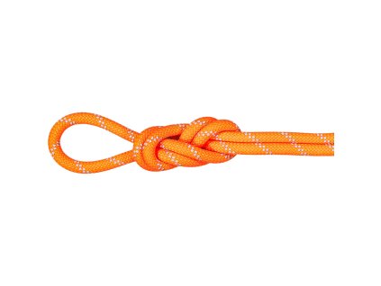 Alpine Dry Rope 9 5 mm mu 2010 05510 2286 am