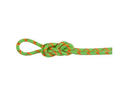 8 0 Alpine Core Protect Dry Rope mu 2010 05010 1287 am