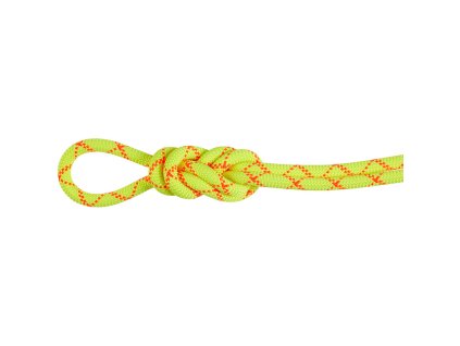 Alpine Core Protect Dry Rope 9 5 mm mu 2010 05410 1287 am