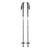 Taiss Poles c