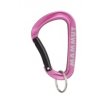 Mammut Mini Carabiner Classic Keylock S