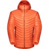 Eigerjoch Advanced IN Hooded Jacket mu 1013 01620 2217 am