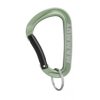 Mammut Mini Carabiner Workhorse Keylock L
