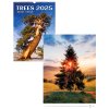 Kalendář n.2025 Trees N125 315x450
