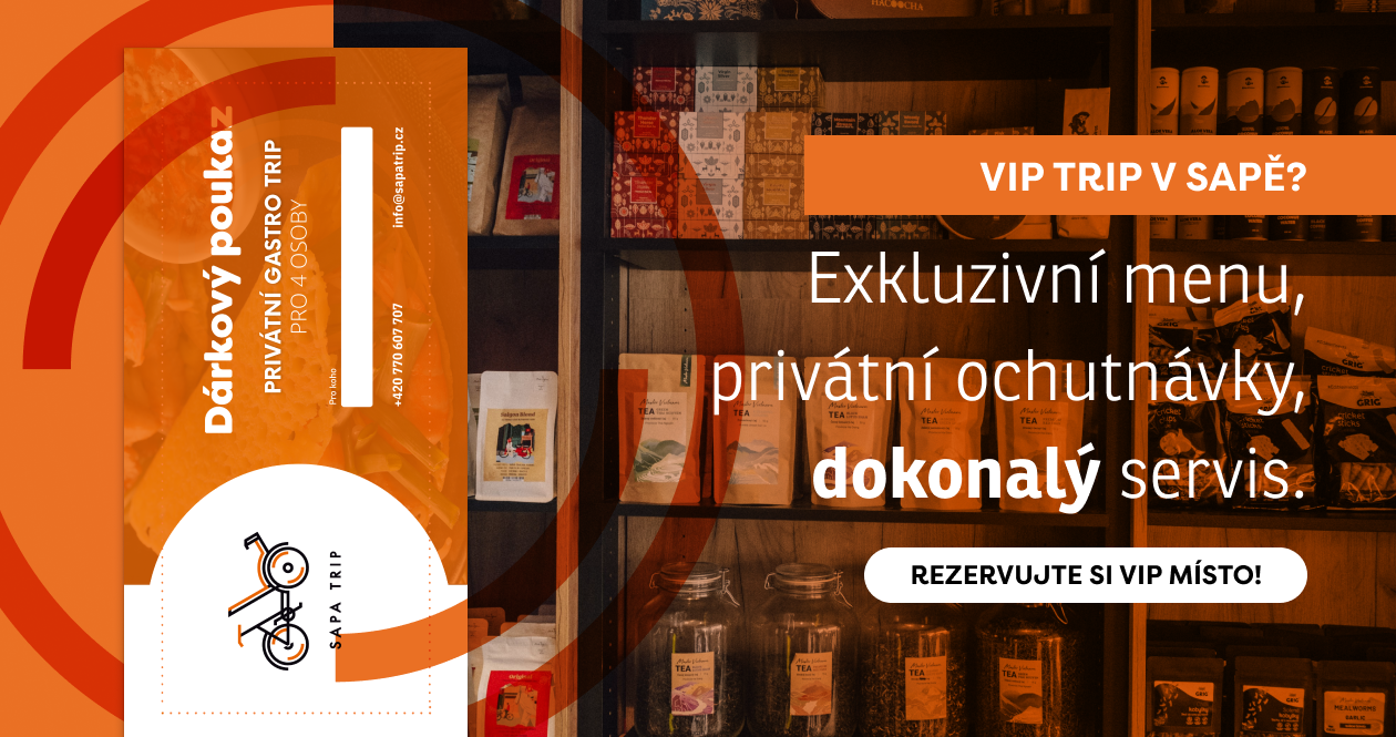 VIP trip Jaro