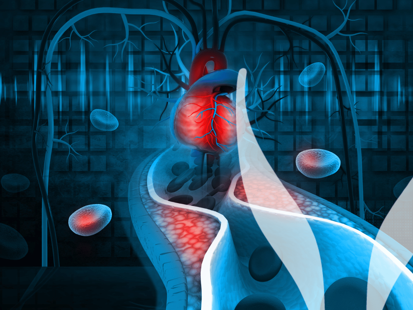 Cholesterol strašák nebo pomocník?