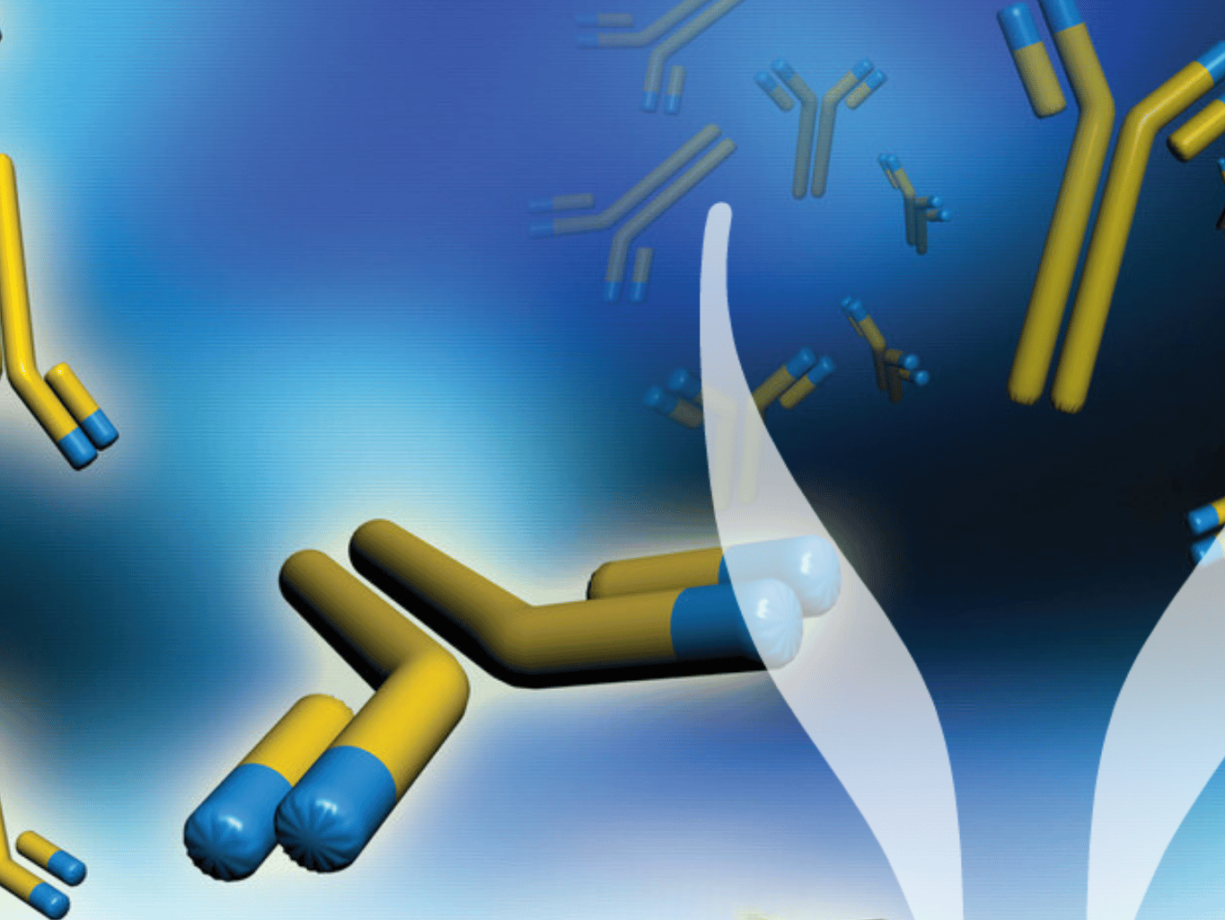 Jakou fungují protilátky?