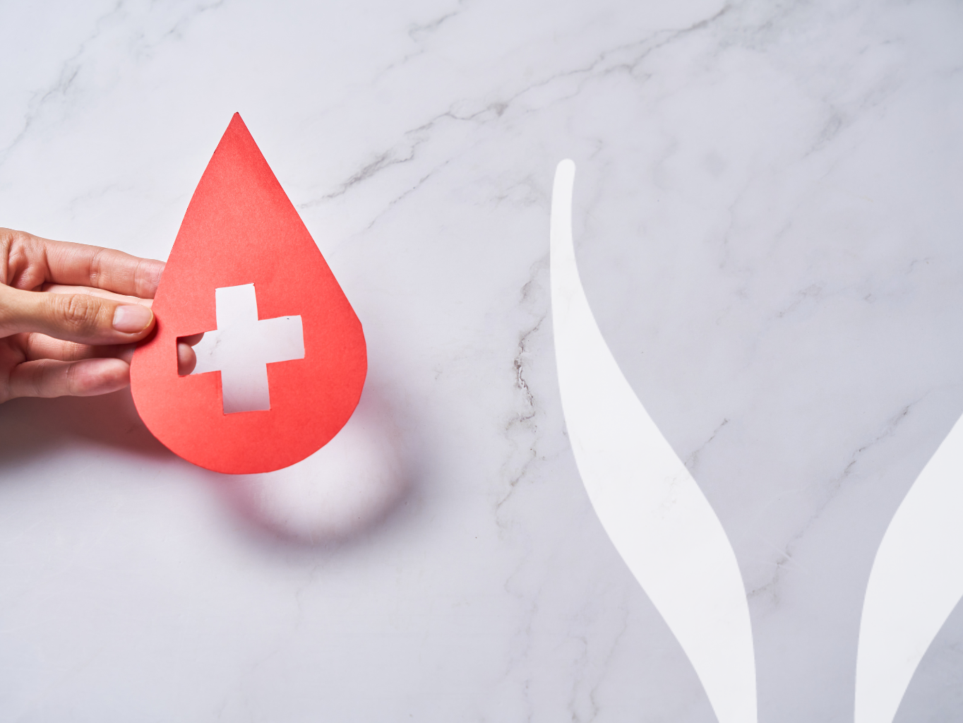 Krevní skupiny jsou životně důležité