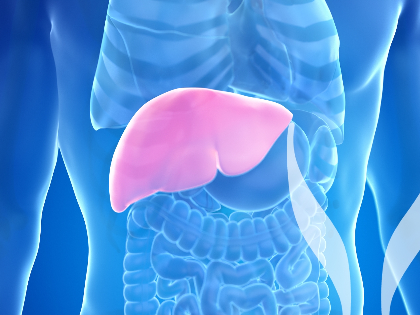 Zdraví jater pod kontrolou? Spolehněte se na krevní testy